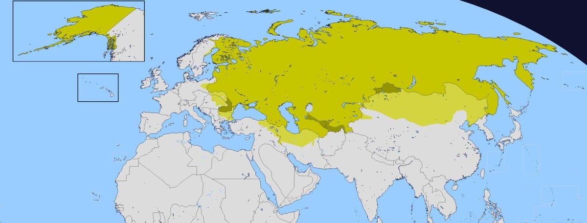 地图的俄罗斯帝国