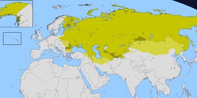 地图的俄罗斯帝国
