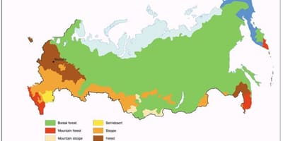 苔原俄罗斯的地图